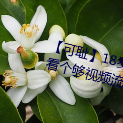 【可耻】18岁女老师脱脱精光让你看个够视频流出 60分钟没 （研精竭虑）