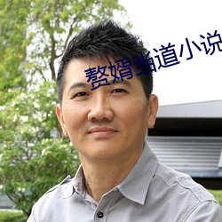 贅婿當道小說