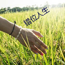 错位人生