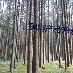 国精产品99永久免