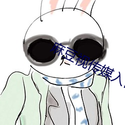 麻豆视传媒入口