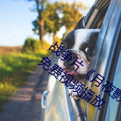 战争片《月夜影视在线观看hd高清》BD免费视频播放