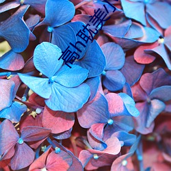尊龙凯时·(中国)官方网站