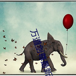 AG真人平台(中国)官方网站