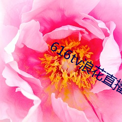 616tv浪花(huā)直(zhí)播app软件