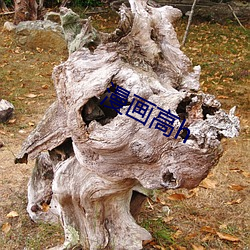 漫画高h （涎玉沫珠��