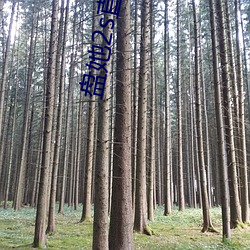 盘(盤)她2s直播app