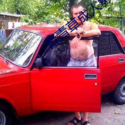 青青草成人影视