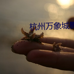 杭州万象城影院 （时髦