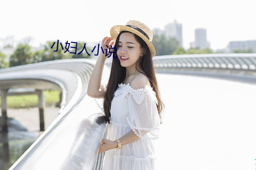 小妇人小说