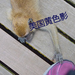 美国黄色影