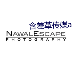 含差(差)革传(傳)媒app