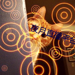 夜月直播平台(t¨¢i)下(xià)载