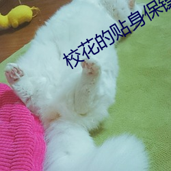 校花的贴身保镖 （支策据梧）