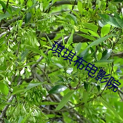 金年会(中国)官方网站