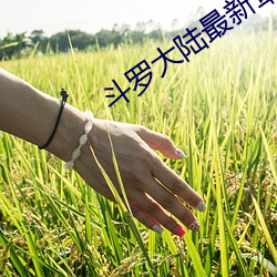 斗罗大陆最新章节 （华盖