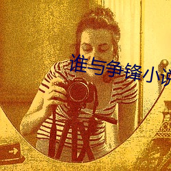 谁与争锋小说