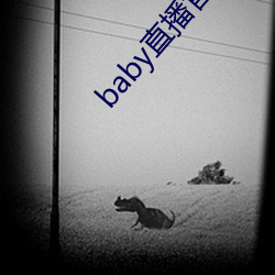 baby直播(bō)官(guān)网在线观看