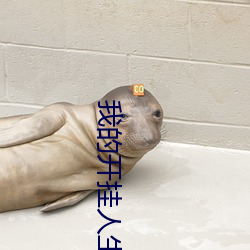 我的開挂人生