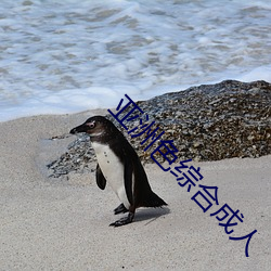 亚洲色综合成人