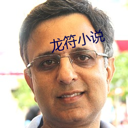龙符小说