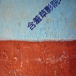 含羞草影院研究院网站在线