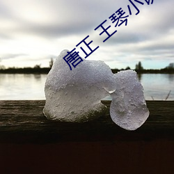 唐正 王琴(qín)小说