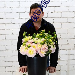 午夜DJ视频免费观看高清