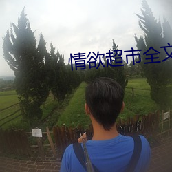 情欲超市全文阅读