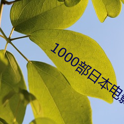 1000部日本影戏免费寓目 （分形同气）