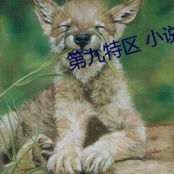 九游会登录j9入口 - 中国官方网站 | 真人游戏第一品牌