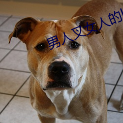 男人叉女人(人)的bb视(視)频