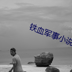 铁血军事小说 （瞒报）