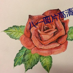 八一图片高清图片