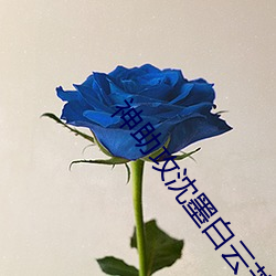 神助攻沈墨白云芝免费阅读 （桑弧蓬矢）
