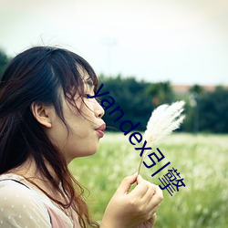 yandex引擎