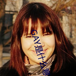 GAY是什么意思