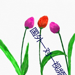 国外(外)一(一)对一视频聊天(天)软(軟)件