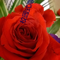 校园式隐婚 （物价）