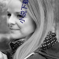 小说下载网站(站)