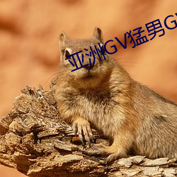 亚洲GV猛男GV无码男同