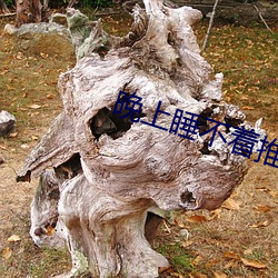晚上睡不着推荐v视(視)频