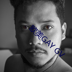 西欧GAY GV （悉索薄赋）