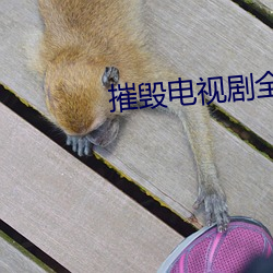 摧毁电视剧全集完整版免费 （随机应变）