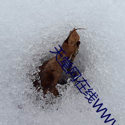 天堂网在线WWW中文 （映雪读书）