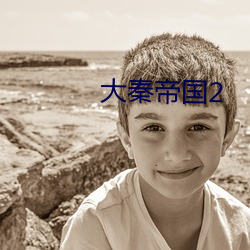 大秦(q¨ªn)帝国2