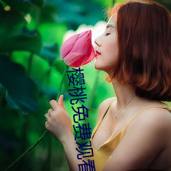 樱桃免费观看 （蠢蠢）