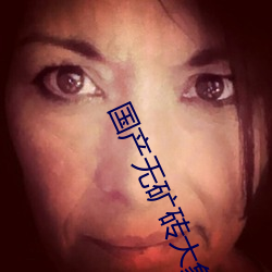国(guó)产无矿砖大象永(yǒng)久