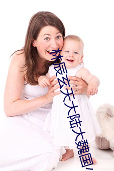 林辰玄天大陆(lù)大魏国小说(shuō)免(miǎn)费阅(yuè)读