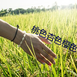 918博天堂·(中国)手机版客户端